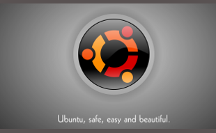 Ubntuサポートイメージ